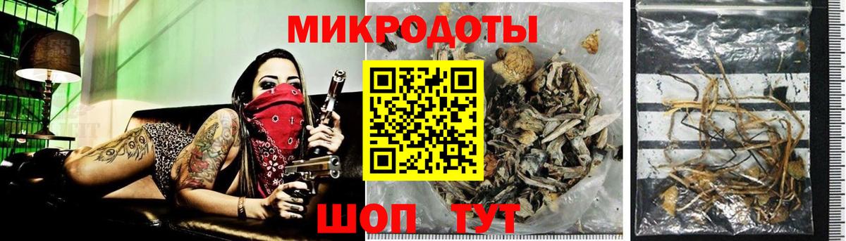 Галлюциногенные грибы прущие грибы Лабинск