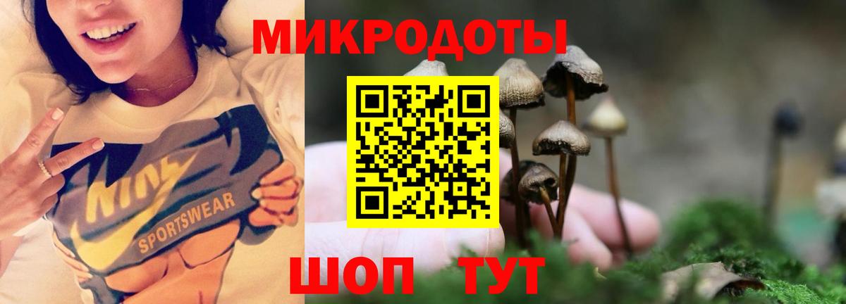 Галлюциногенные грибы прущие грибы  Вход с VPN  Псилоцибиновые грибы прущие грибы  Лабинск 